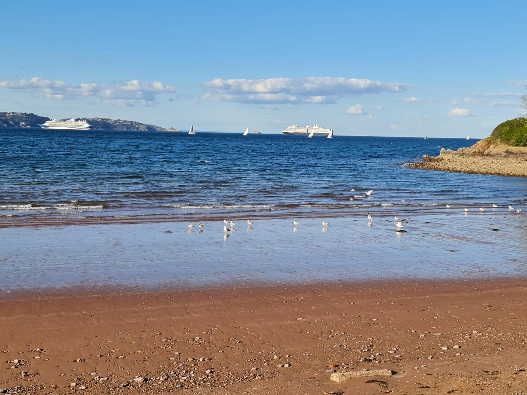 Seaspot Is A 1 Bed Annex Ground Floor Apartment At Stunning Broadsands Beach Nr Brixham! Churston Ferrers Eksteriør bilde